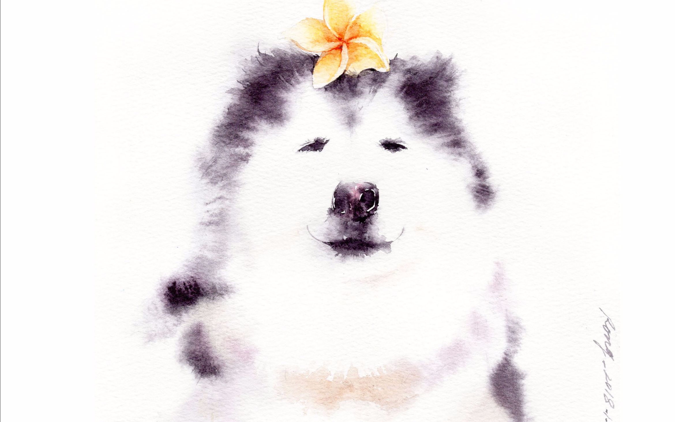 水彩过程——画水墨哈士奇【rong分享绘】_哔哩哔哩 (゜-゜)つロ 干杯