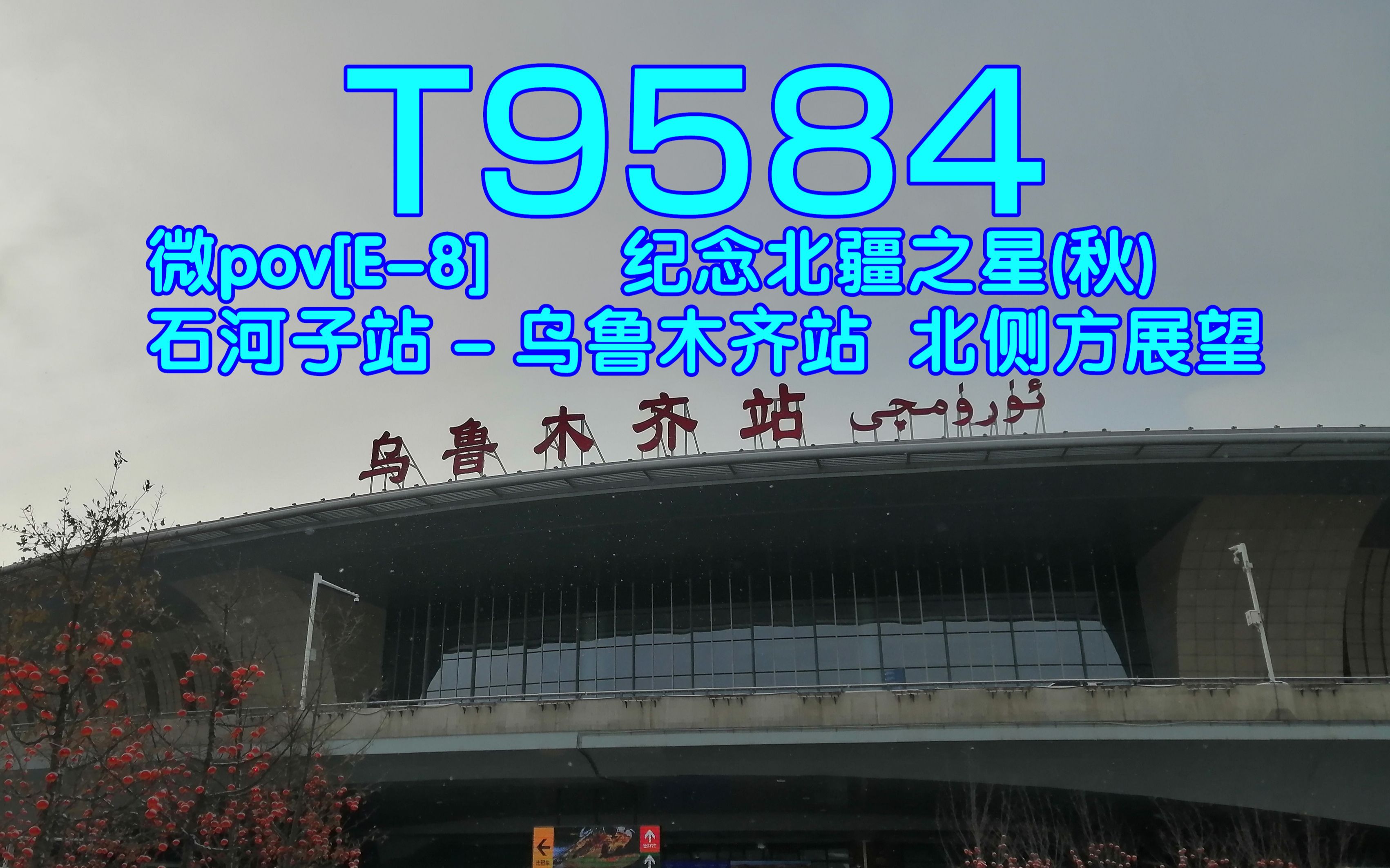 [图]【石河子&乌鲁木齐铁路】微pov[E-8] 纪念北疆之星(秋) T9584 石河子站-乌鲁木齐站 北侧方展望