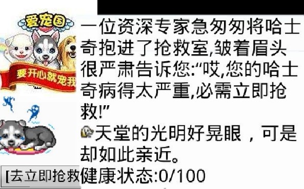 【怀旧向】爱宠国、精武堂、英雄OL,当年火爆的手机文字游戏如今已成回忆!哔哩哔哩bilibili