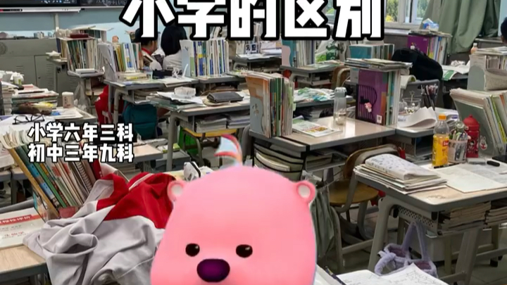 初中和小学的区别哔哩哔哩bilibili