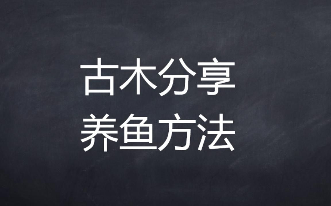 古木鱼塘玩法抖音鱼塘起号养鱼方法哔哩哔哩bilibili