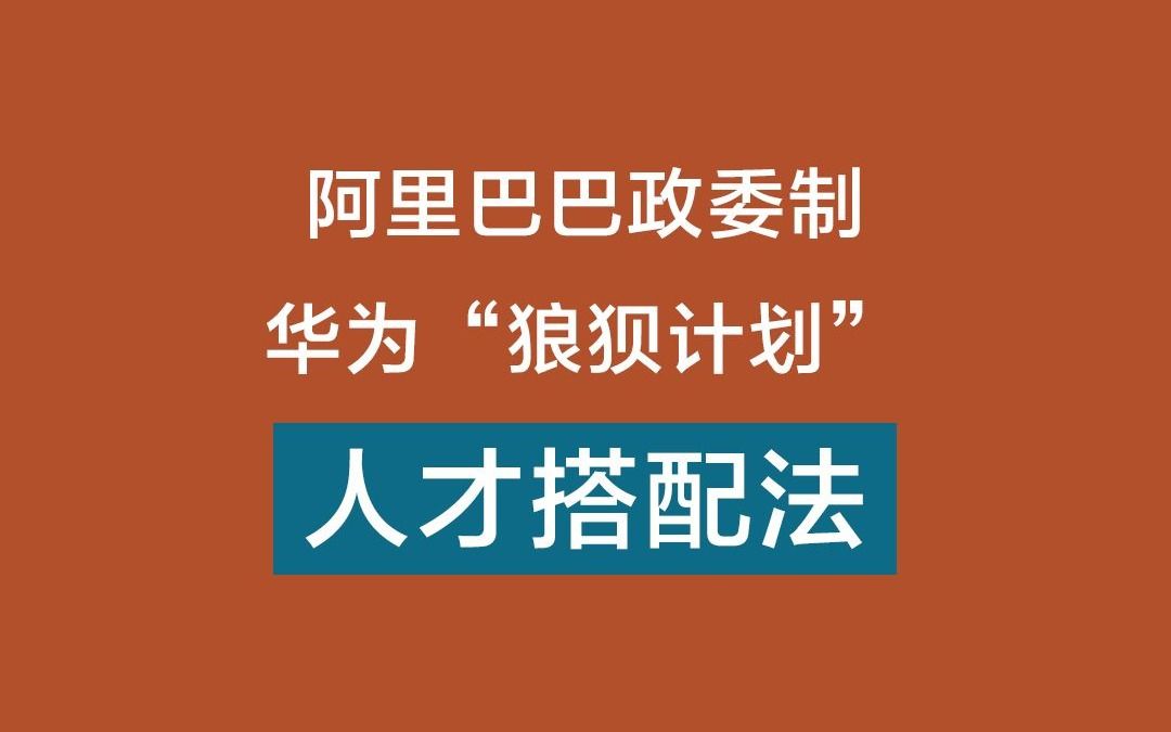 [图]阿里巴巴政委制、华为“狼狈计划”：人才搭配法