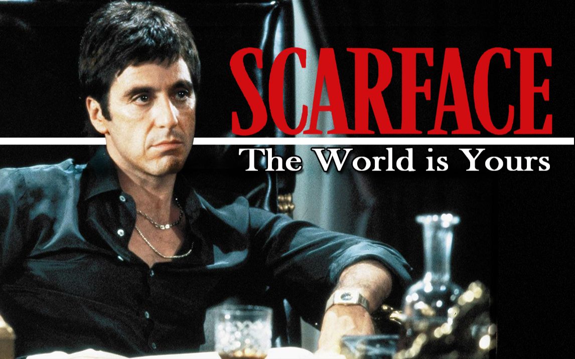 【这个世界属于你the world is yours】疤面煞星×疤面人混剪