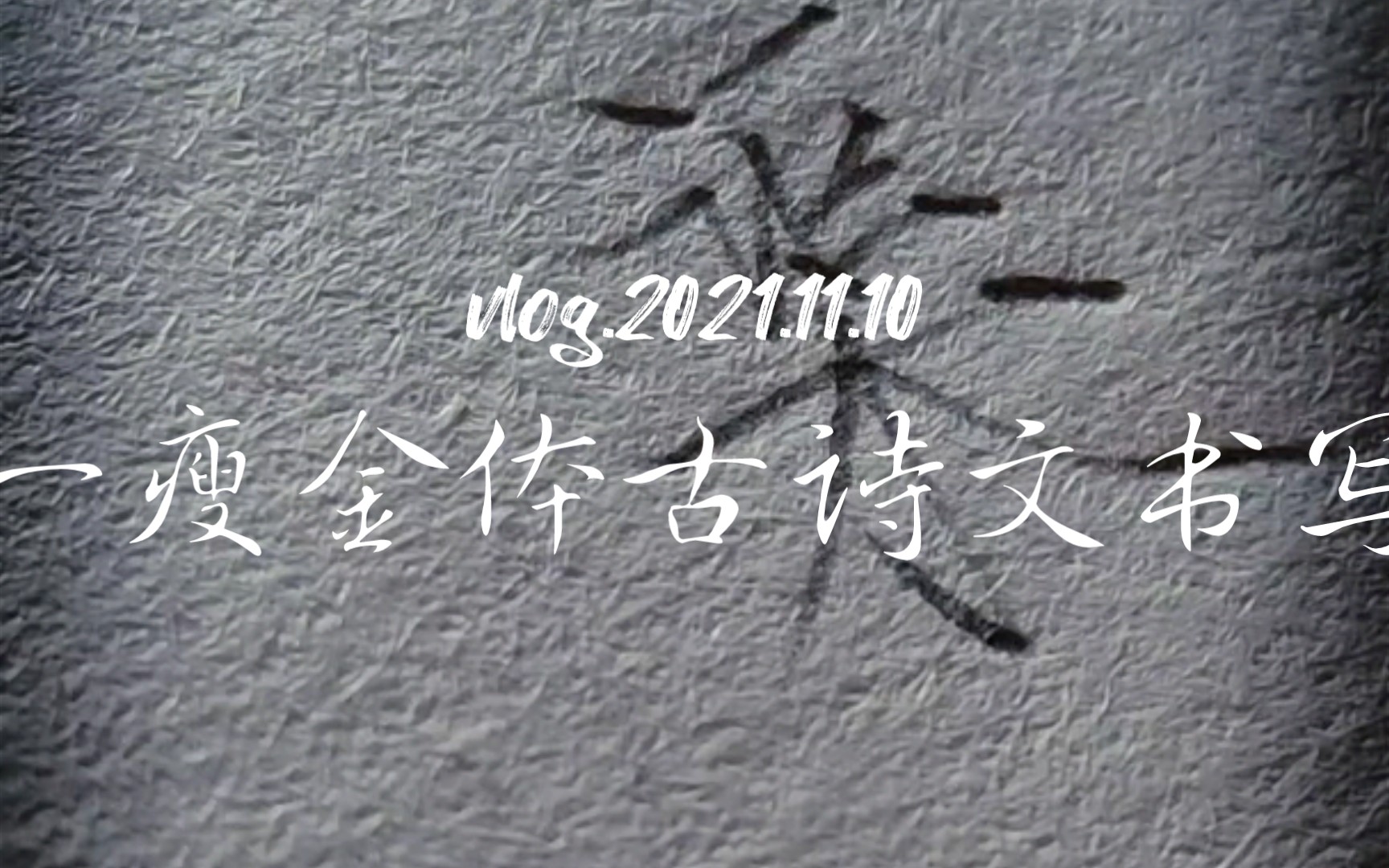 原速手写【瘦金体古诗文书写】我本将心向明月,奈何明月照沟渠元代高明——《琵琶记》哔哩哔哩bilibili