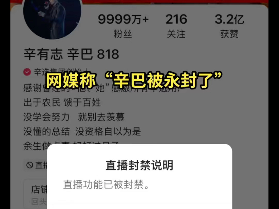 网媒称“辛巴已被永久封了”哔哩哔哩bilibili