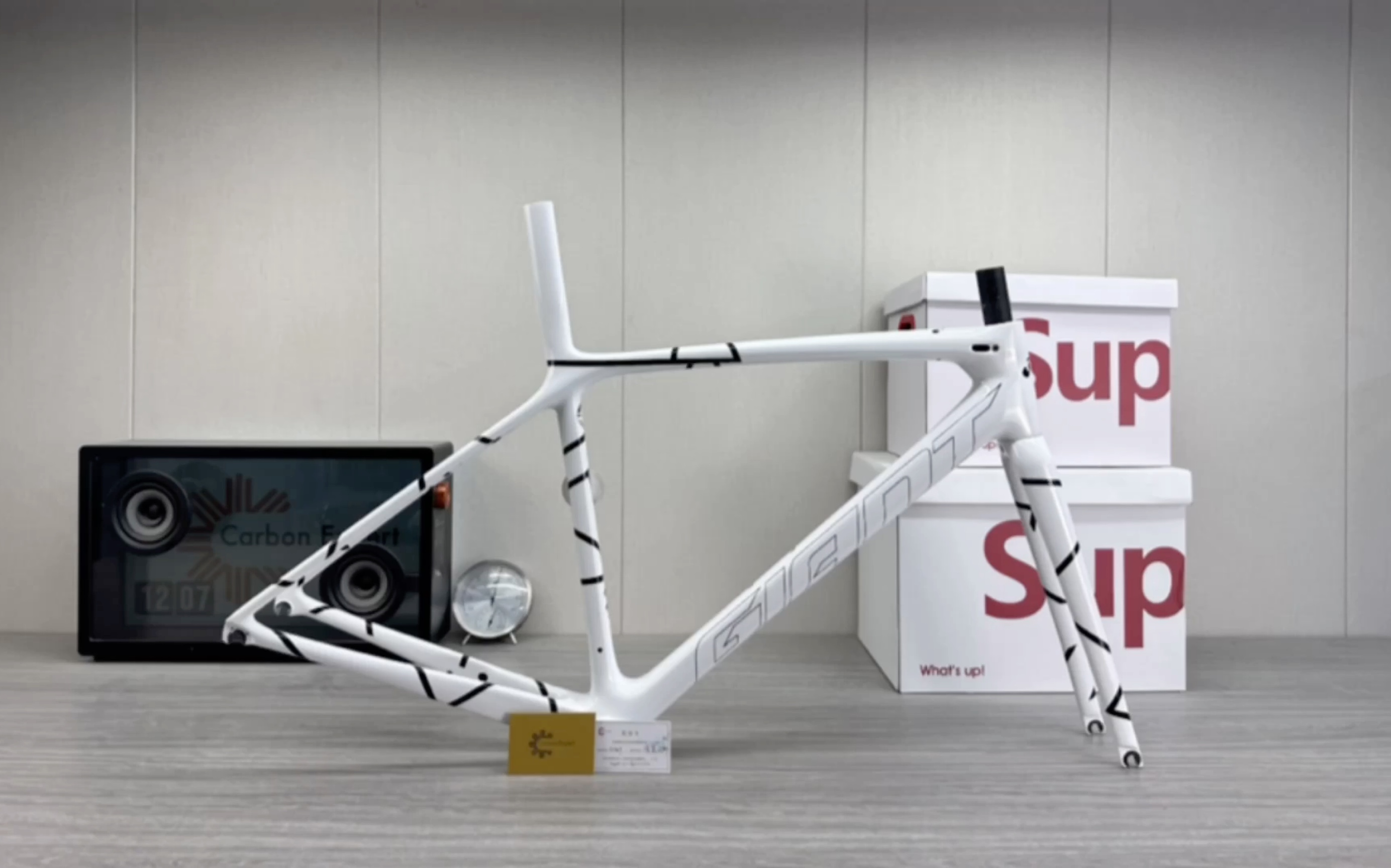 giant公路自行车涂装定制交工