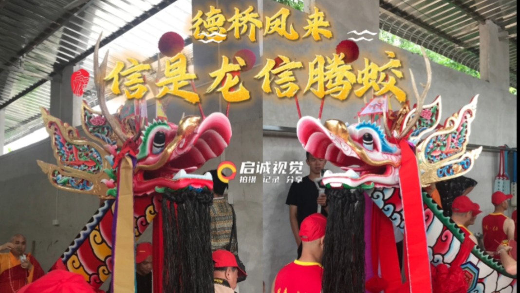 德桥龙舟之凤来白龙信腾蛟红龙信是龙#揭阳龙舟文化 #德桥龙舟 #凤来