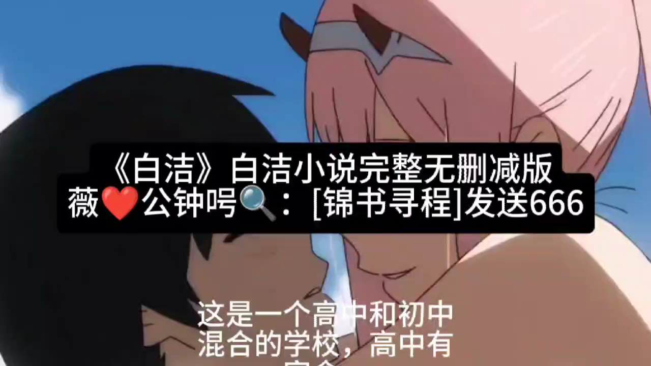 完整版《白洁》白洁小说全文阅读哔哩哔哩bilibili