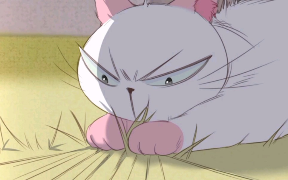 【社会喵】搞笑合集