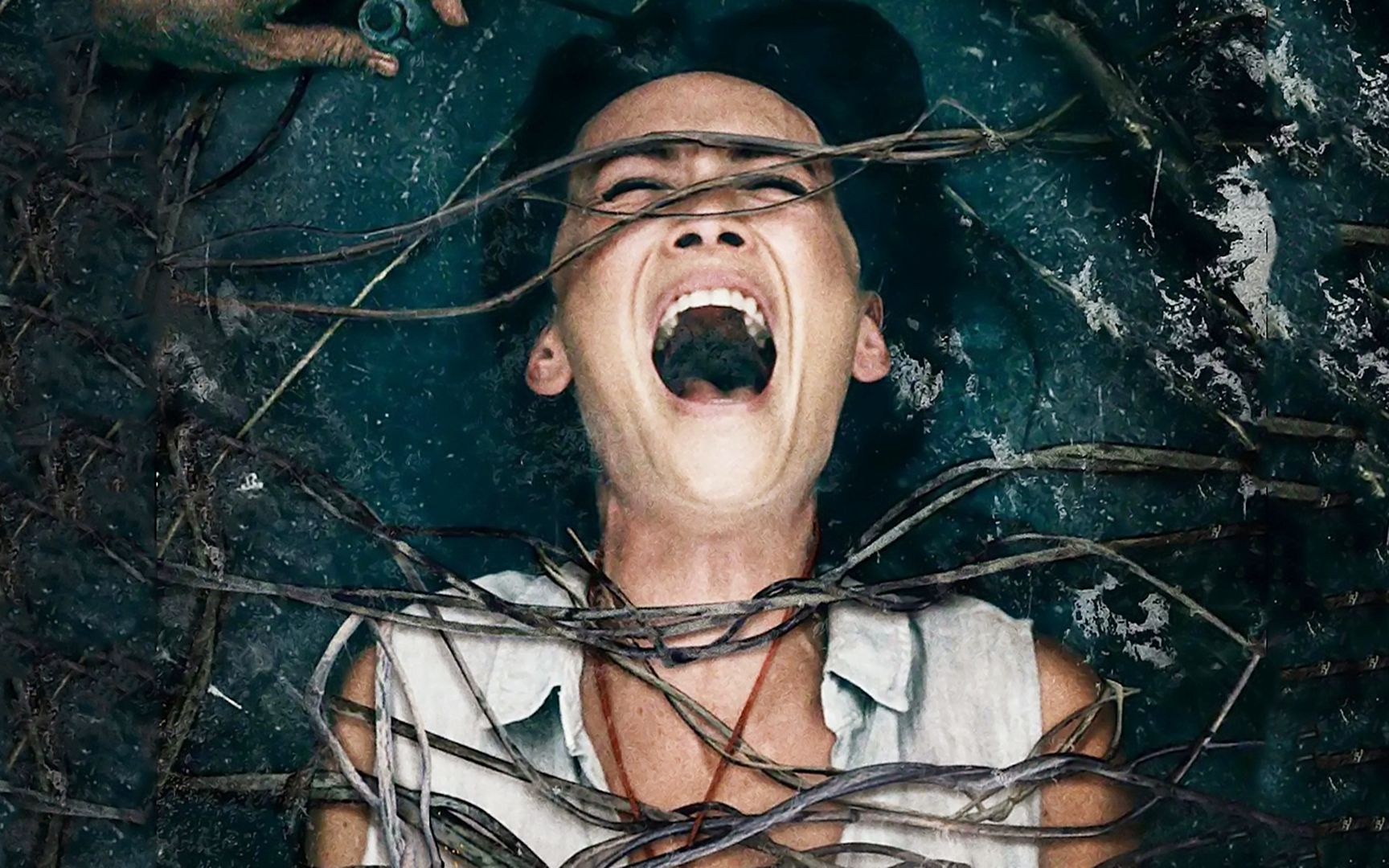 恐怖片《本人之死》,旅游胜地变杀戮炼狱