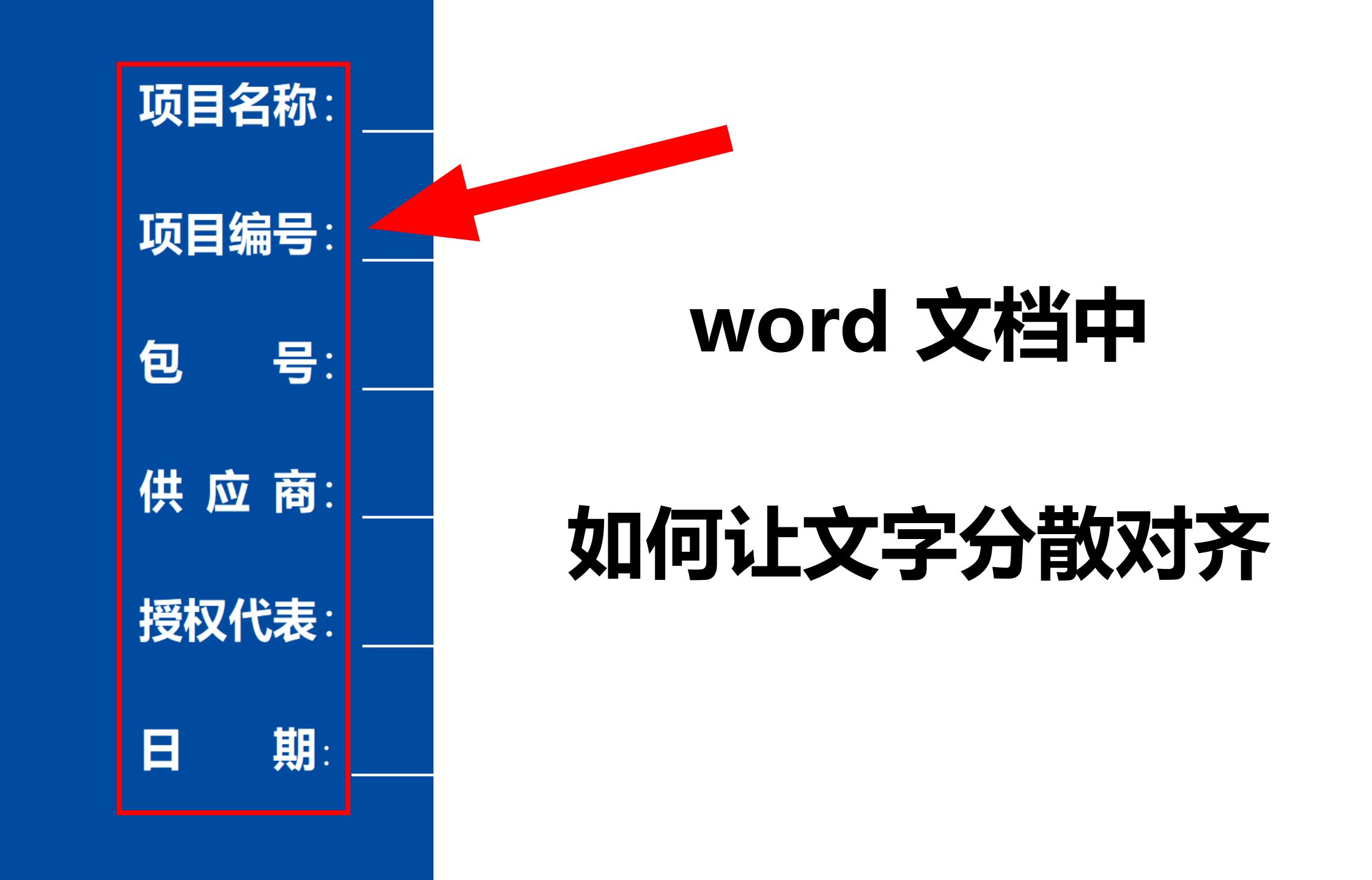 标书排版技巧之文字分散对齐!零基础标书制教程系列哔哩哔哩bilibili