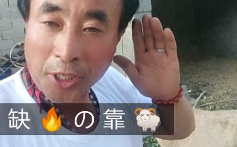 新泰面条哥外传缺火靠羊