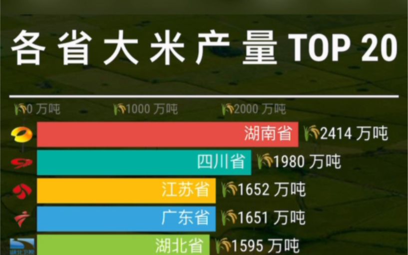 各省大米产量排行top 20哔哩哔哩bilibili