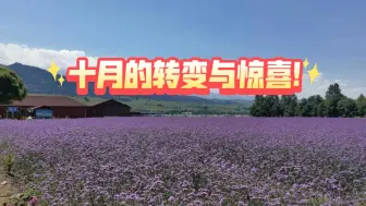 Download Video: 【大众占卜·郭星池sunshine】十月的转变与惊喜!(2024年10月)