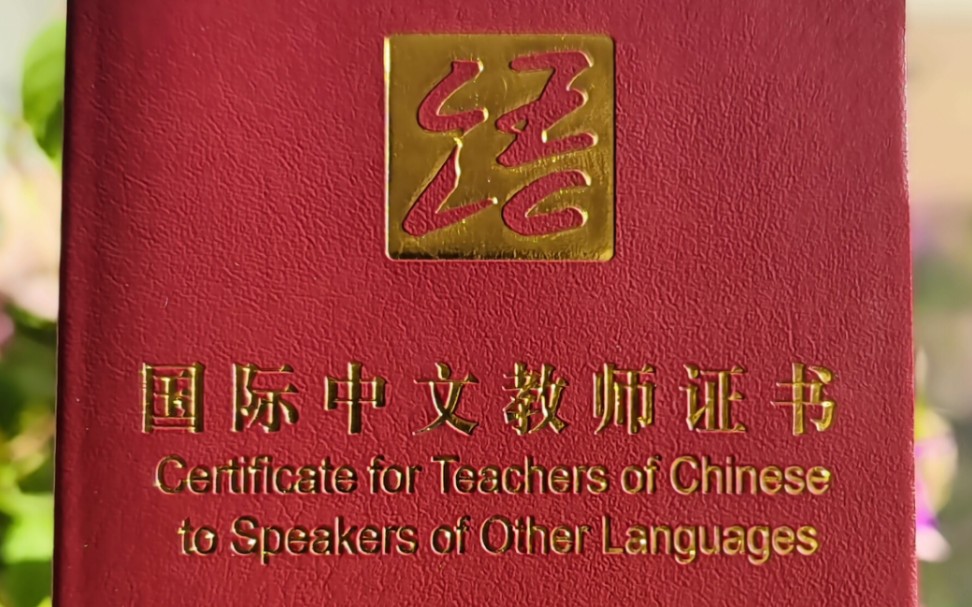 对外汉语培训行业的最新动态：一探语言交流的魅力