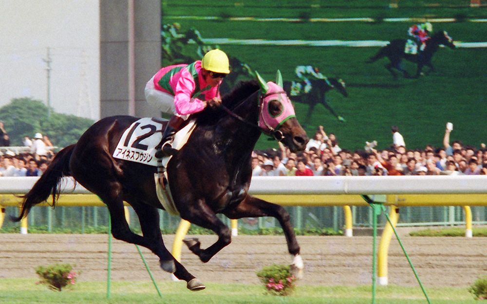 10发艾尼斯风神(上次10发大拓太阳神)