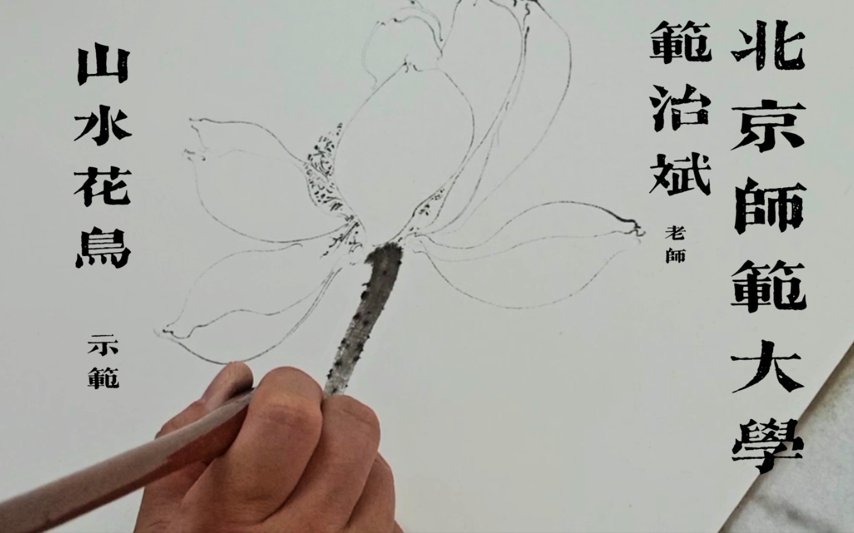 【鹳鳏工笔】北京师范大学 范治斌老师 山水花鸟 作画示范过程(三)|国画学习 手绘过程哔哩哔哩bilibili