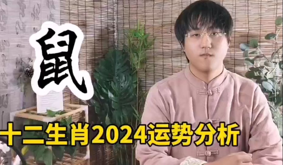 2024年属鼠运势分析,属鼠必看!哔哩哔哩bilibili