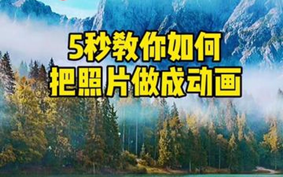 [图]一张照片如何动起来，你们学废了吗？