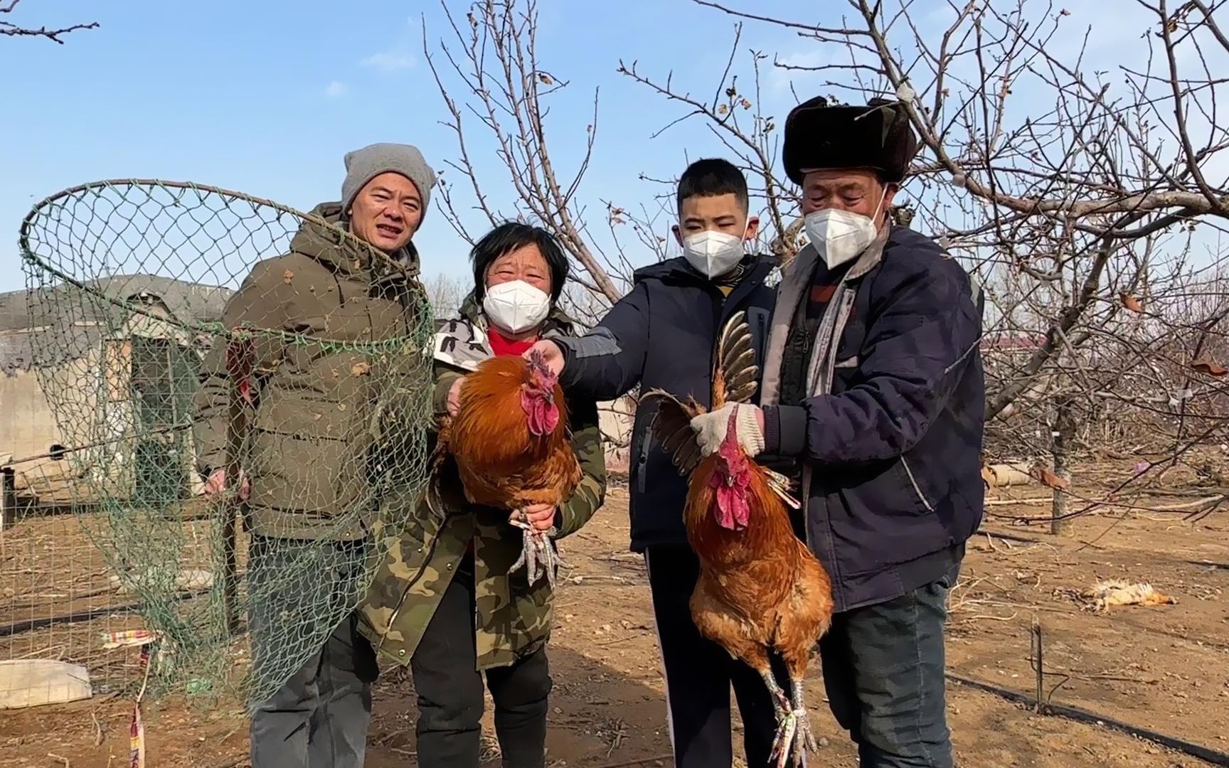 [图]去小菜园里摘点菜，抓2只跑山鸡，小闹一回家鸡飞狗跳，年味十足