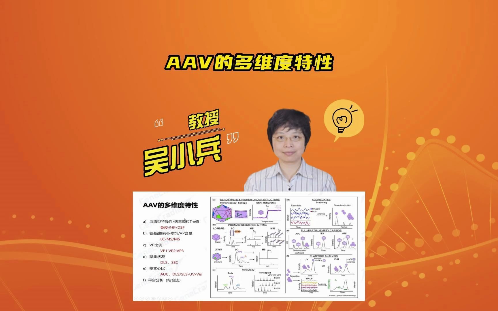 18 AAV的多维度特性哔哩哔哩bilibili