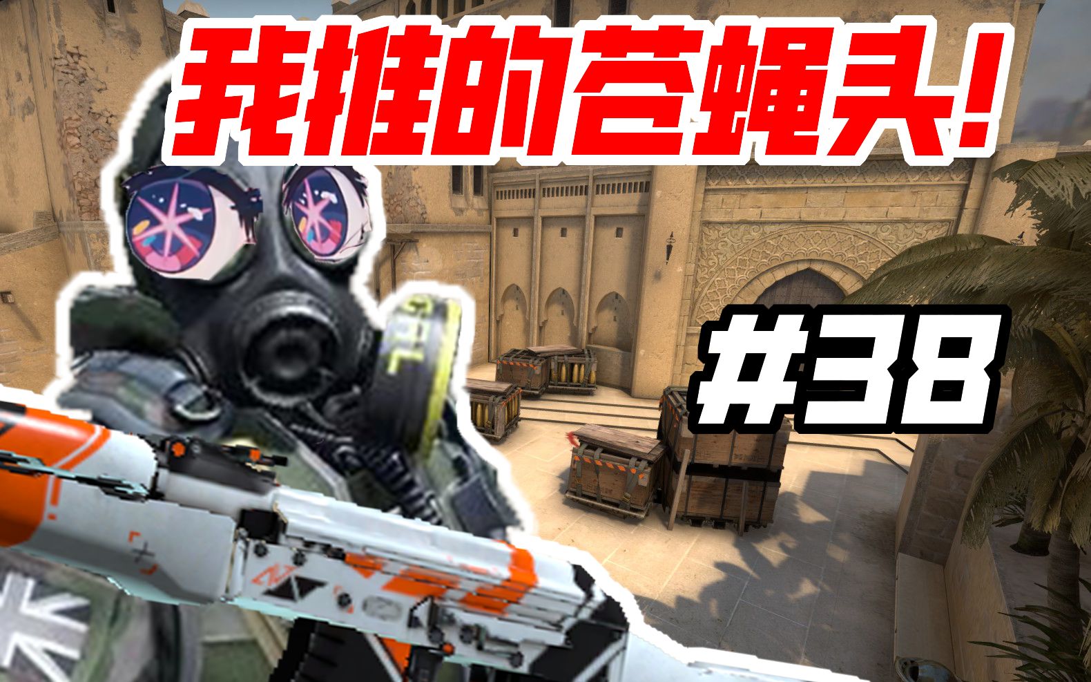 [图]【CSGO短片】《我 推 的 苍 蝇 头！》#38