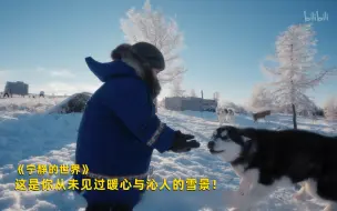 下载视频: 【宁静的世界】看点2：这是你从未见过暖心与沁人的雪景！竖版