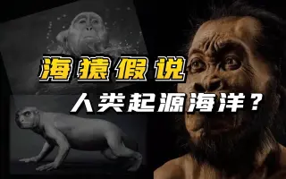 海猿 哔哩哔哩 Bilibili