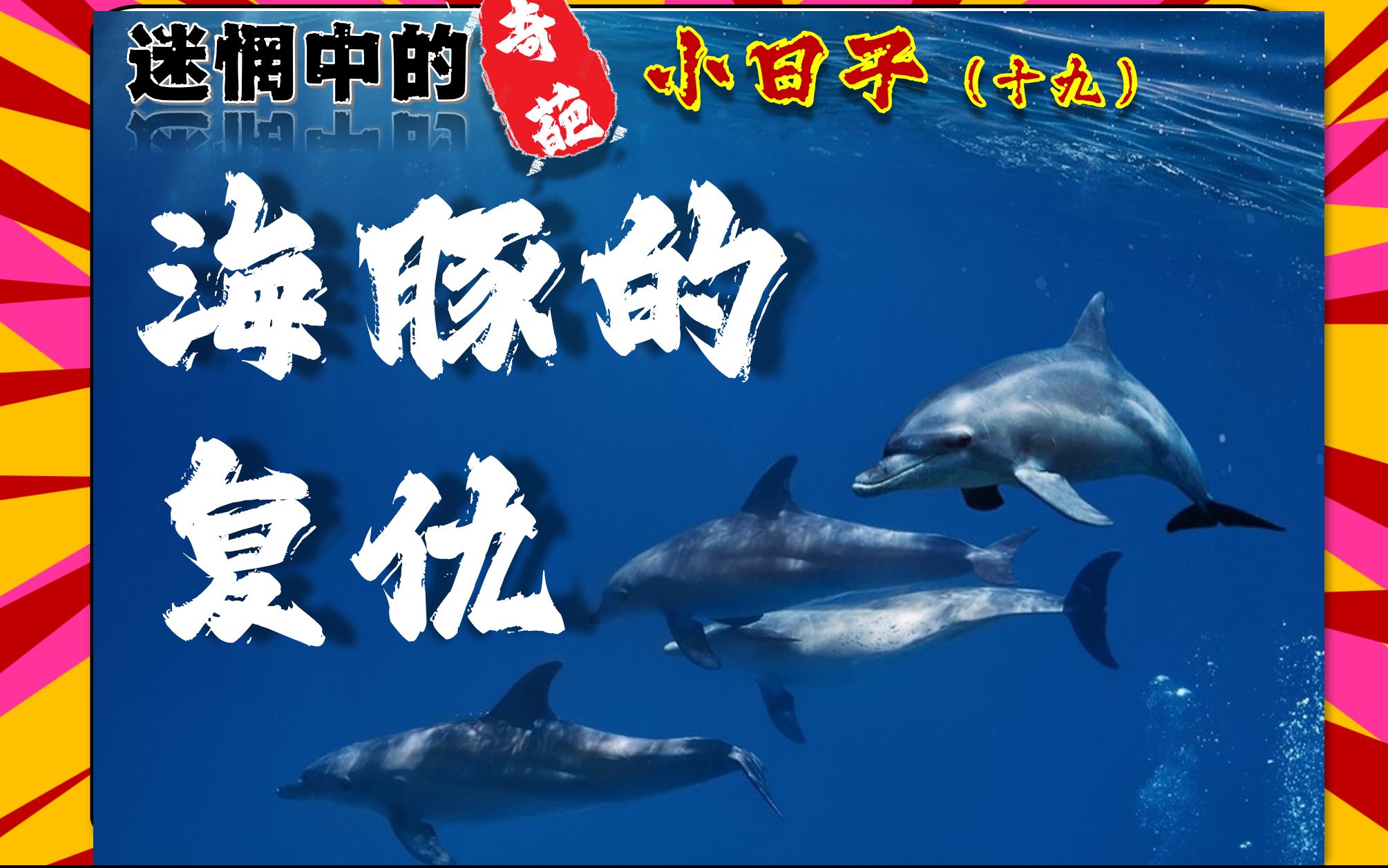 [图]【新作品】迷惘中奇葩的小日子（十九）海豚湾，满是血腥味的海湾，海豚的坟场