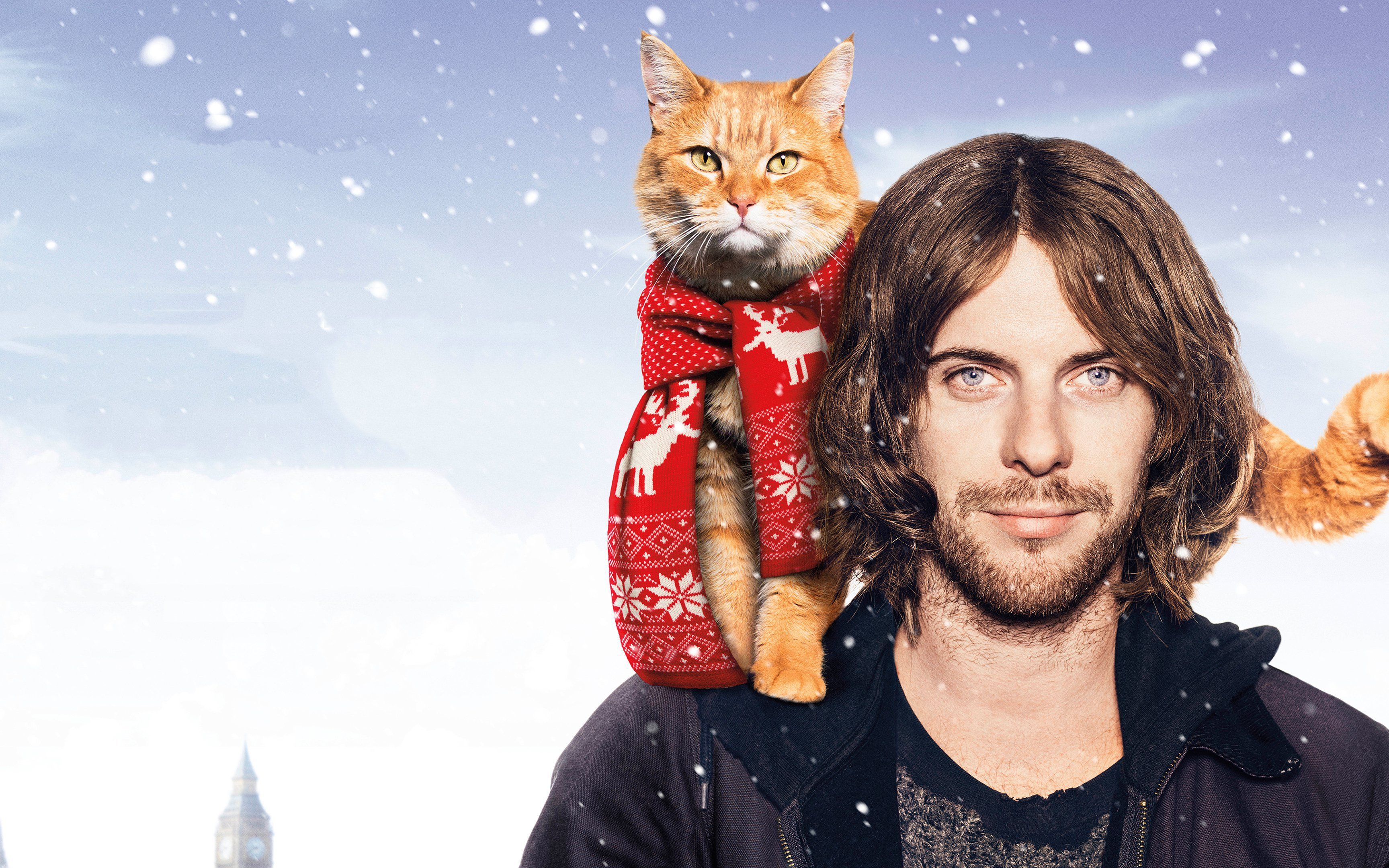 流浪猫鲍勃:一个流浪汉与流浪猫相互救赎的治愈故事