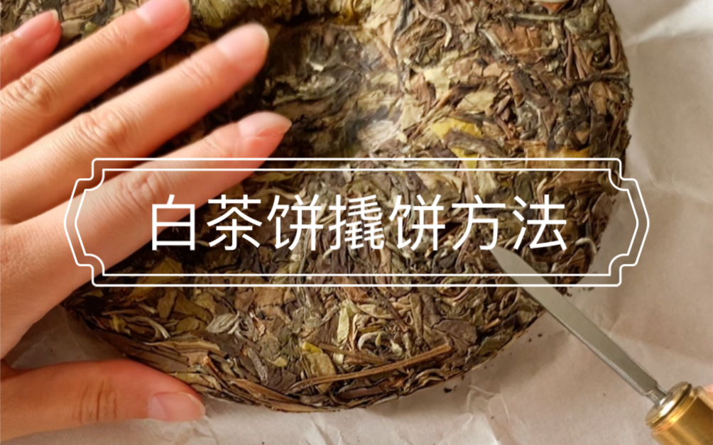 [图]福鼎白茶 茶饼撬饼方法 不会撬饼的茶友们学起来吧