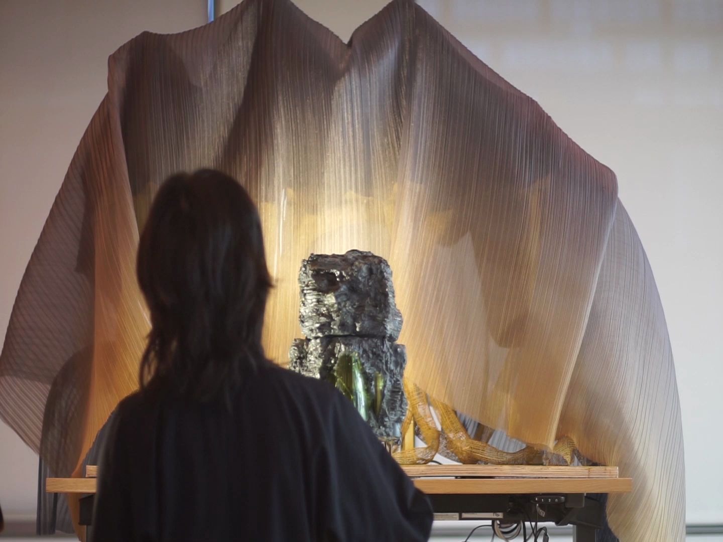 手脊上的山脉 装置艺术