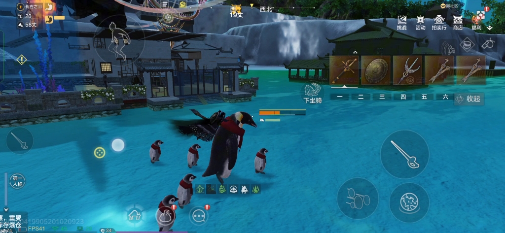 妄想山海红颈鹅要养嘛?