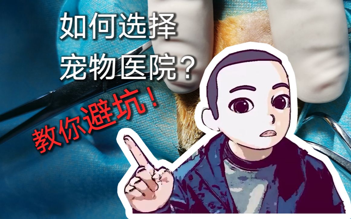 如何选择靠谱的宠物医院!哔哩哔哩bilibili