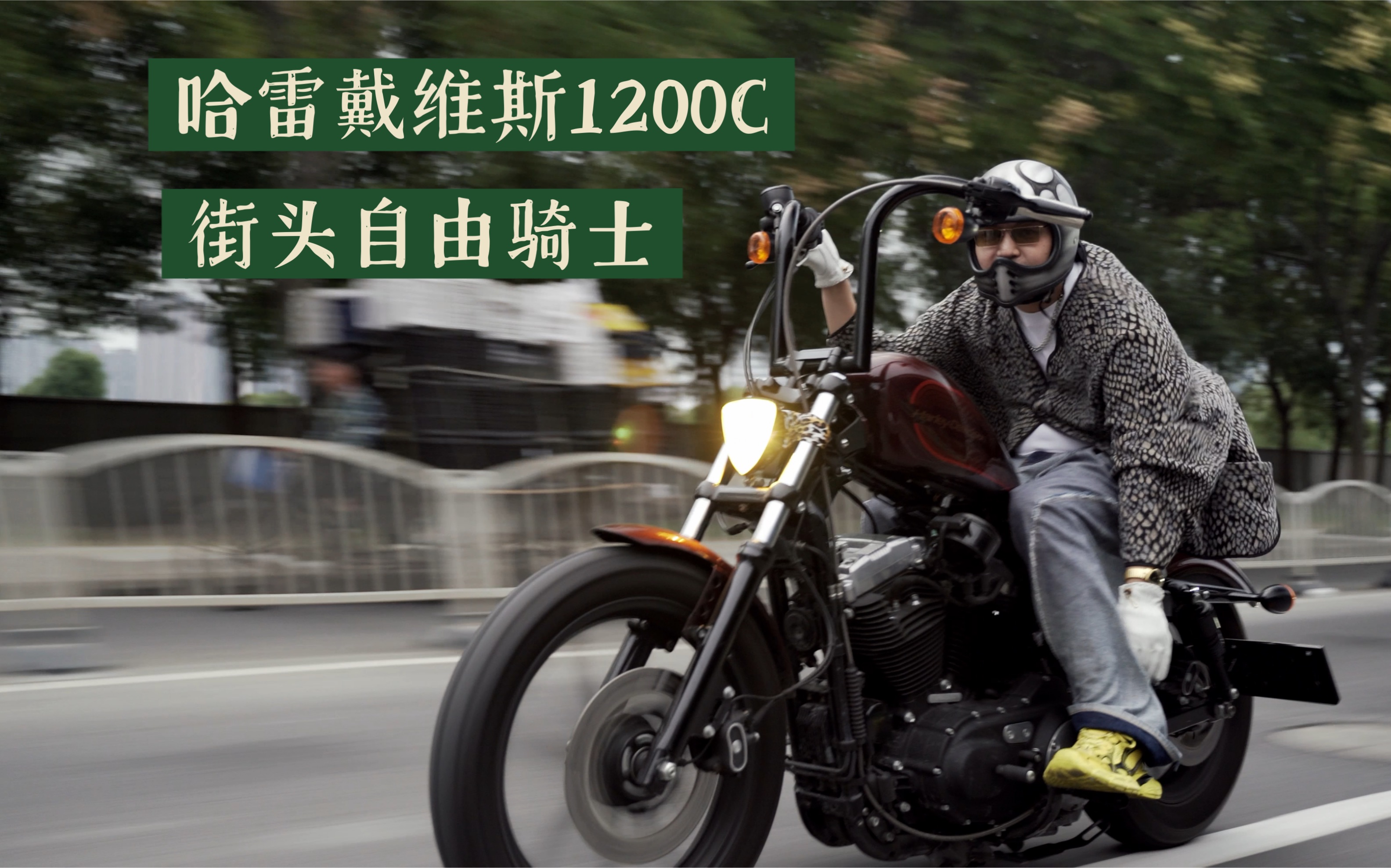 哈雷戴维斯1200c 街头的自由骑士