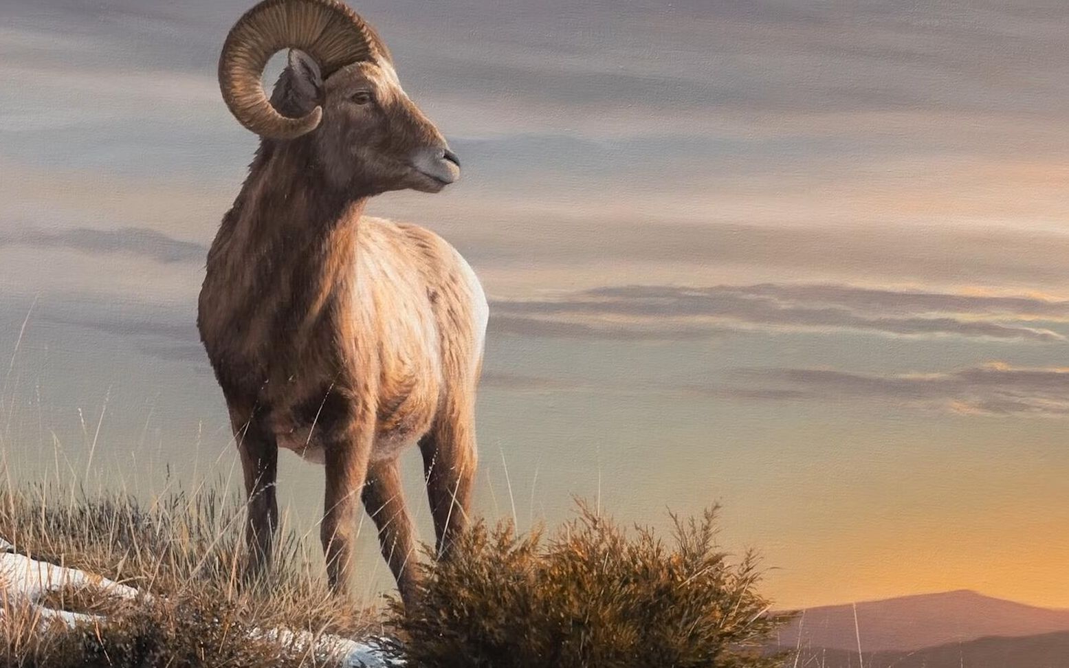 中国美术教程:写实油画《山坡上的大角羊》超详细作画步骤,细节教学!