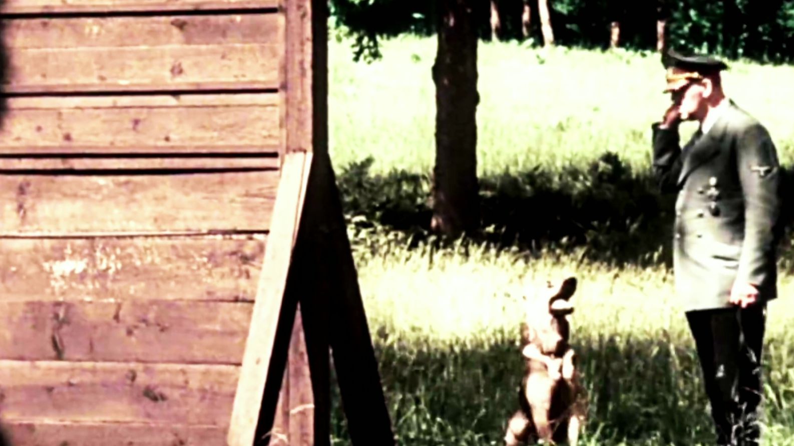 【4K60帧】1944年希特勒训练爱犬布隆迪在狼穴以及在贝格霍夫度假山庄等一系列彩色胶卷影像合集（Bundesarchiv德国联邦档案馆影像）