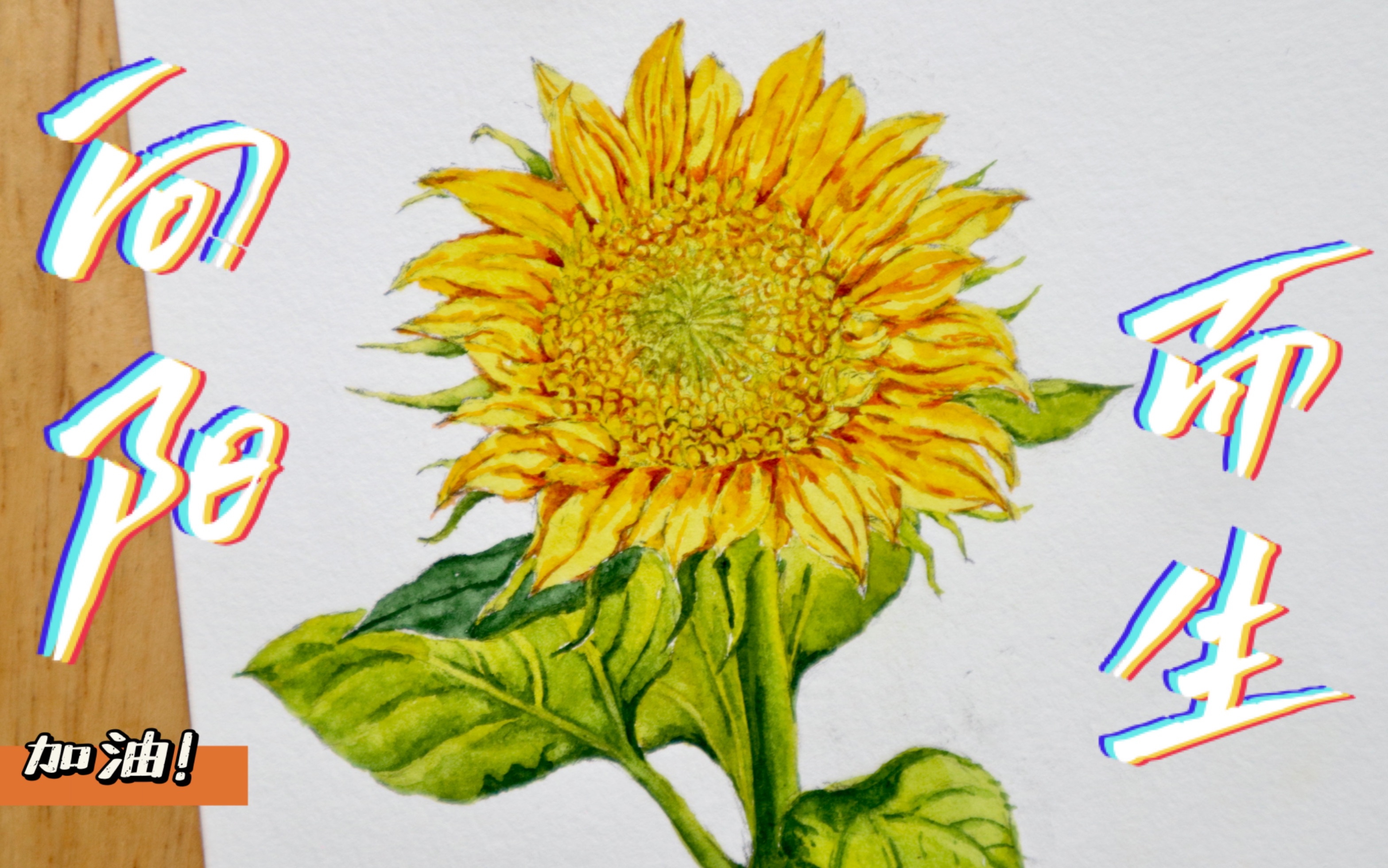 活动  水彩手绘日常|愿你我如向日葵一般 向阳而生