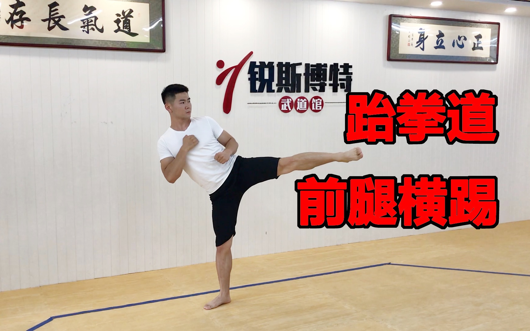 看完快速掌握跆拳道前腿横踢