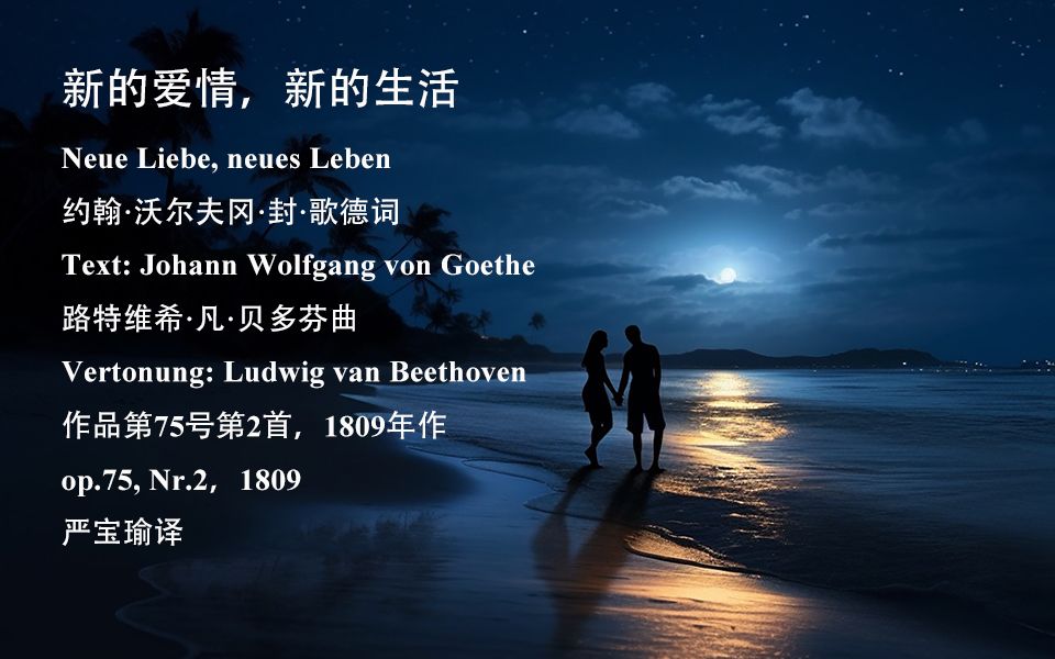 贝多芬 新的爱情，新的生活 （neue Liebe Neues Leben 哔哩哔哩