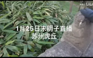 Download Video: 【VlogVlog】未明子三戏猛虎