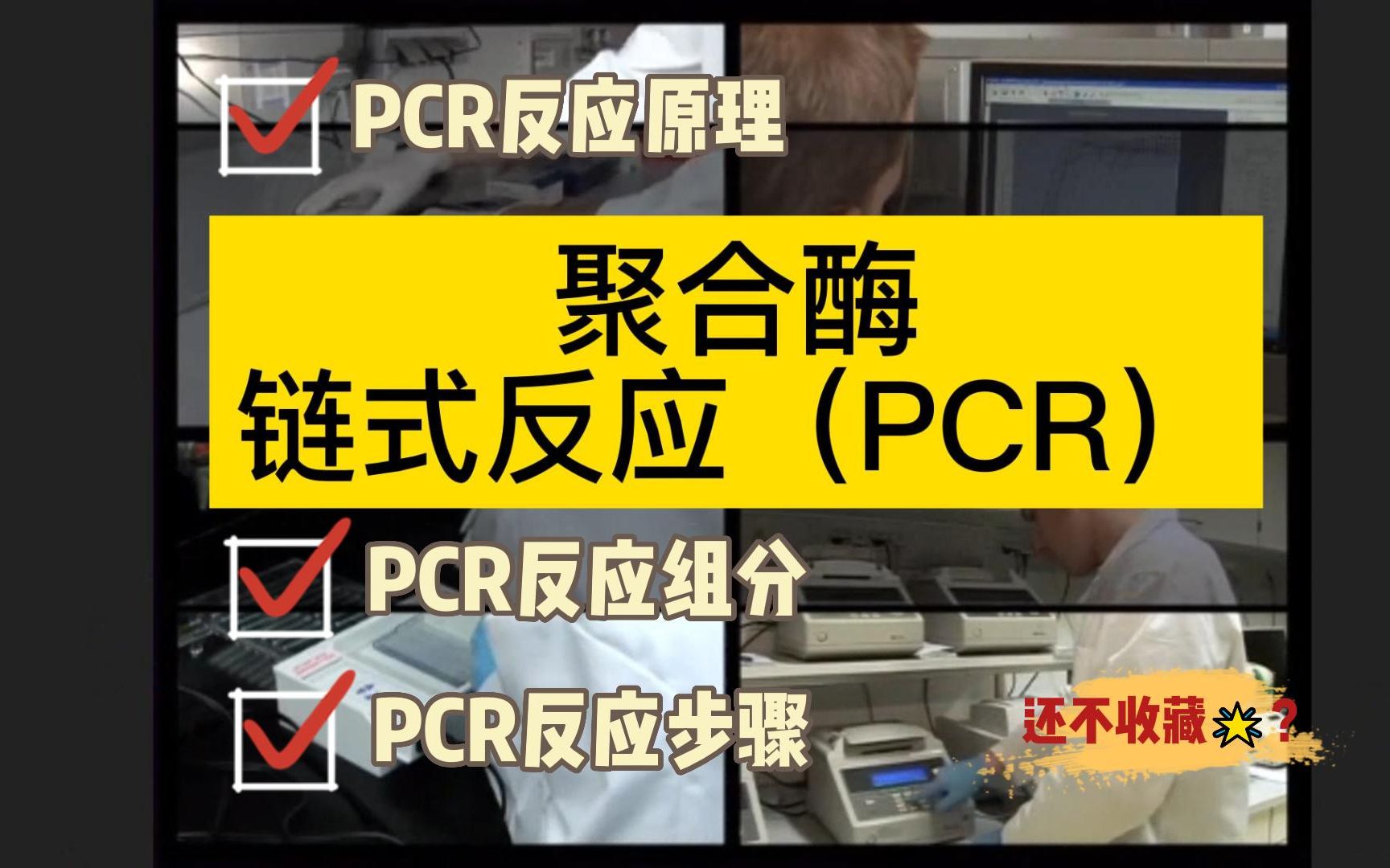 聚合酶链式反应|PCR|PCR反应原理|PCR反应组分|PCR反应步骤|PCR反应的应用哔哩哔哩bilibili