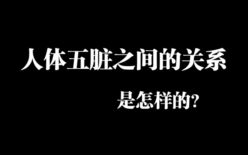 人体五脏之间的关系是怎样的?哔哩哔哩bilibili