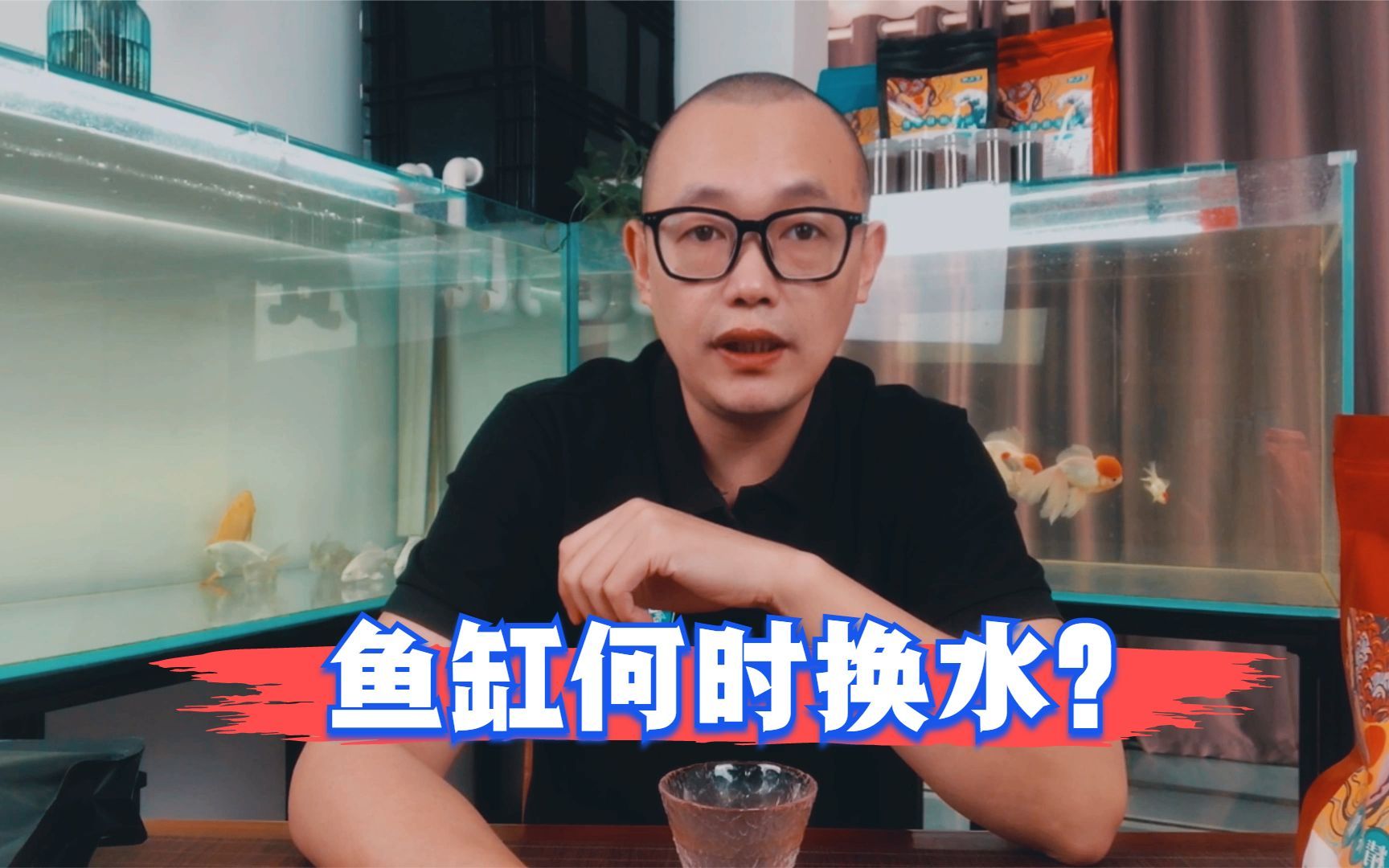 鱼缸换水如何判断水质?换水频次要怎么掌握?哔哩哔哩bilibili