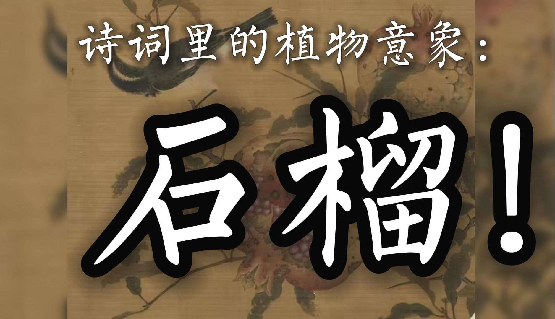 千古诗心(56):诗词里的植物意象:石榴!