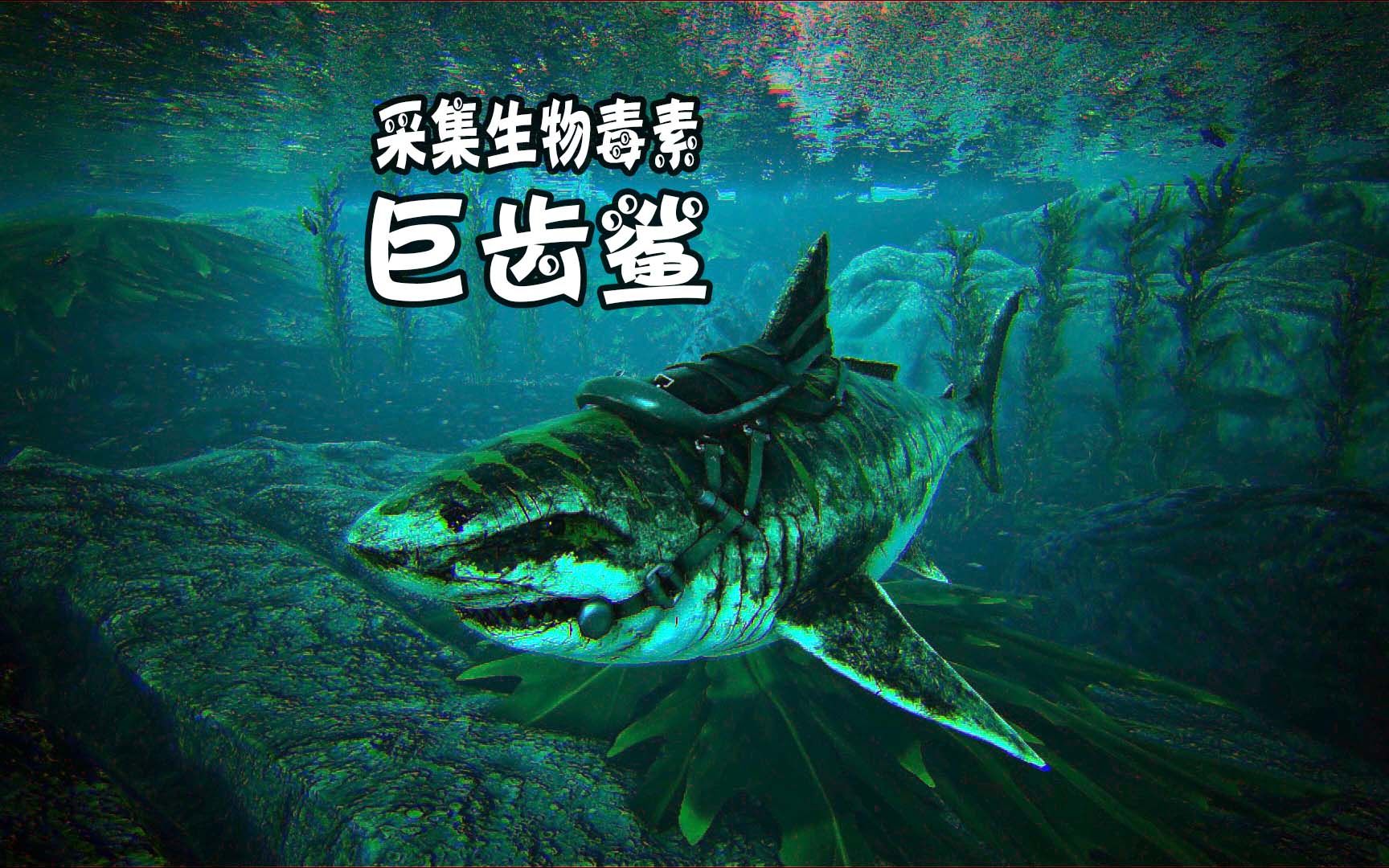 [图]方舟 瓦尔盖罗 天铭 09 大战水母，采集生物毒素，驯服巨齿鲨！