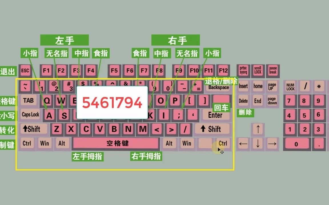 零基础学电脑打字,快速学会键盘打字哔哩哔哩bilibili