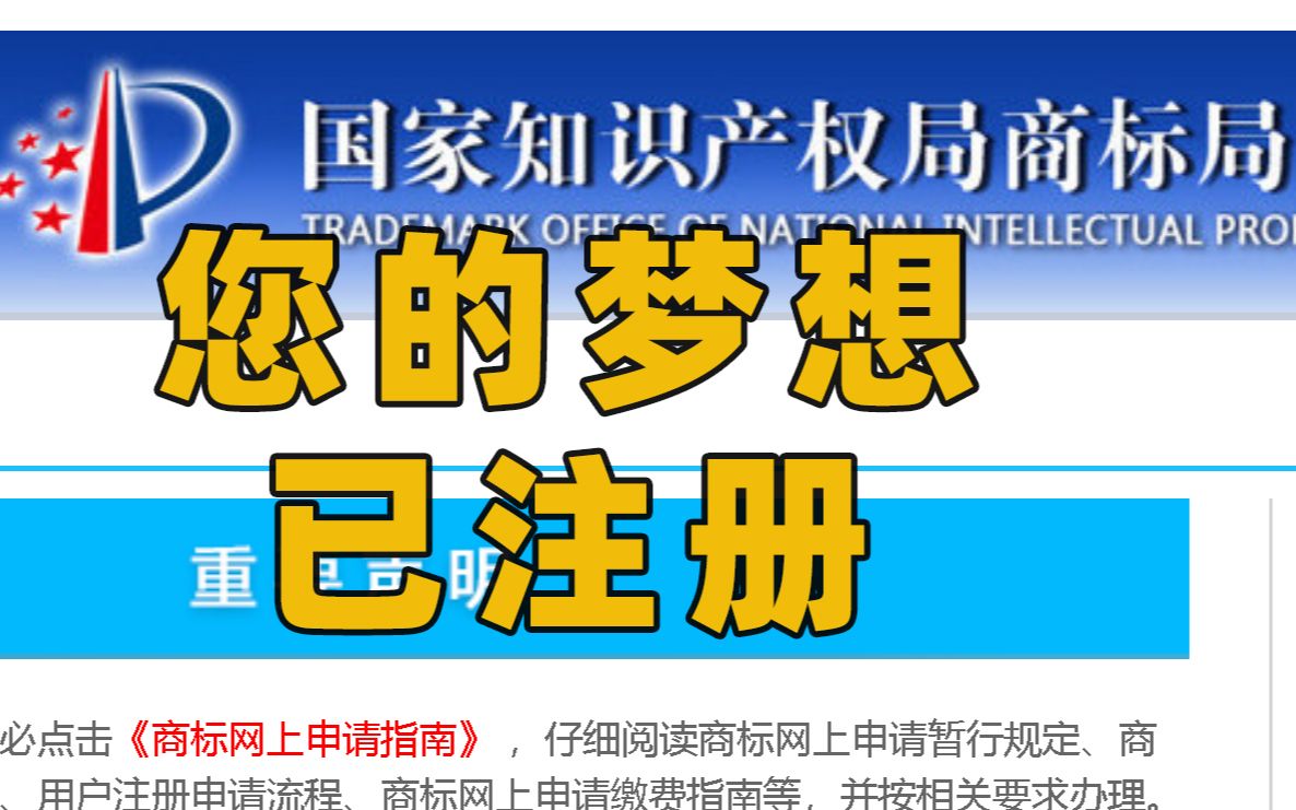 最自助的商标注册方法 | 不再拖延,我终于把虚空光影注册商标了 | UP主注册商标教程哔哩哔哩bilibili