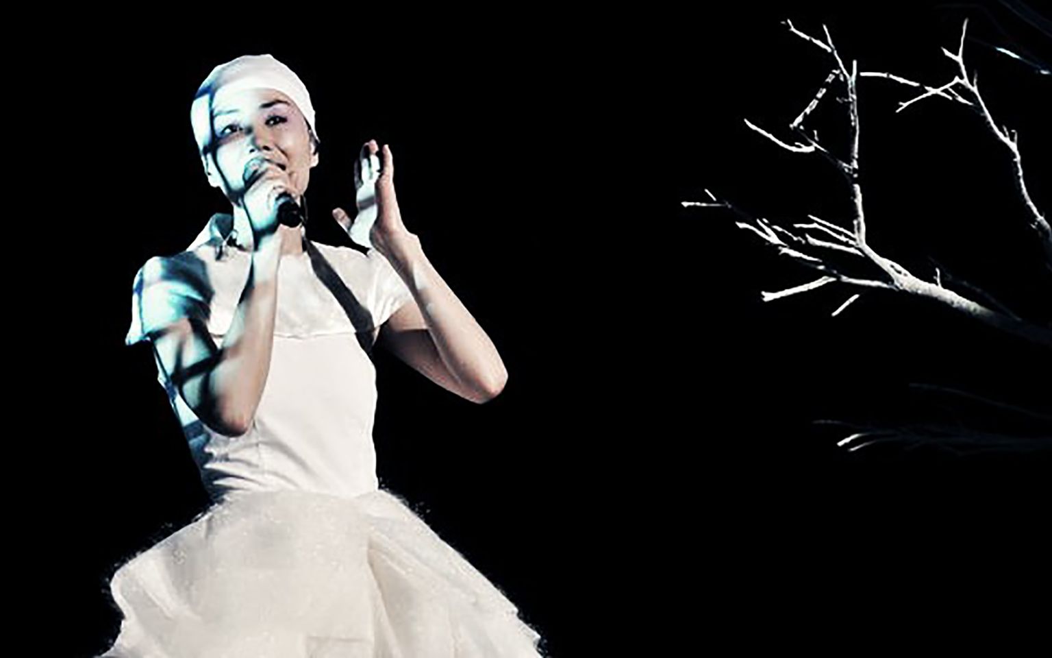 志爱电台19华语经典雪中莲王菲老歌忆往事