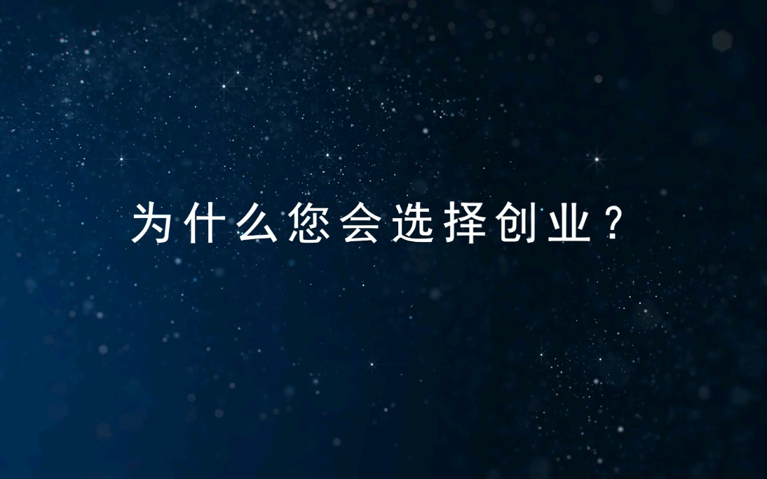 武汉市大鸿雁供应链管理有限公司 总经理 汪小鸿 专访哔哩哔哩bilibili